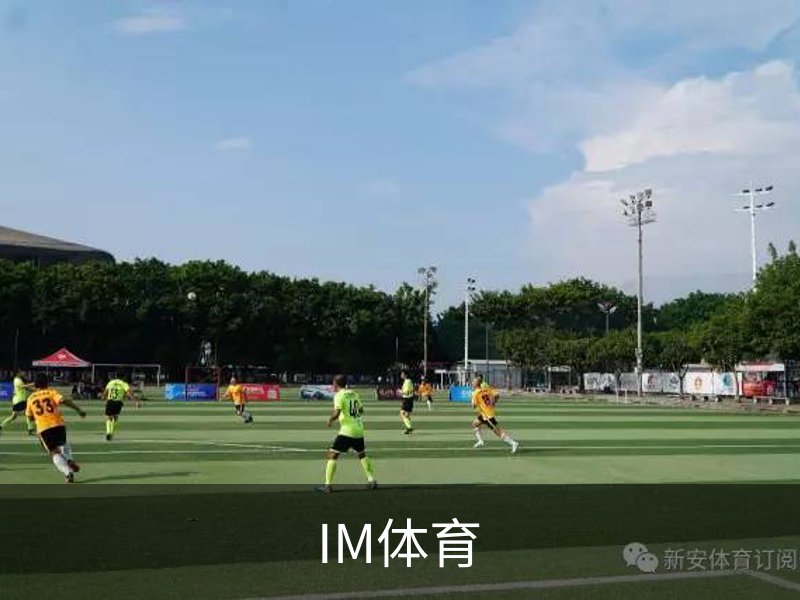 关于IM体育